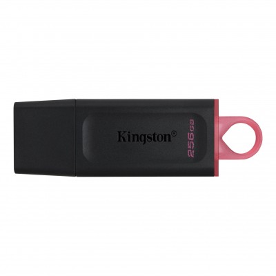 Memoria USB Kingston Technology DTX/256GB, Negro, 256 GB, USB